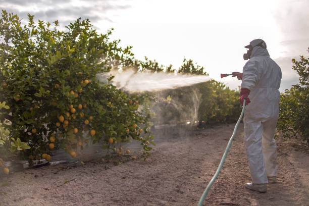 Wildlife Control Services in Crested Butte, CO